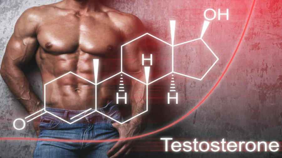 Grasimile care cresc testosteronul