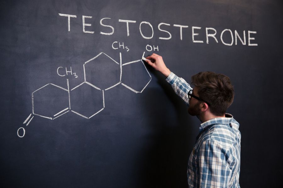 Bacteria care iti distruge testosteronul